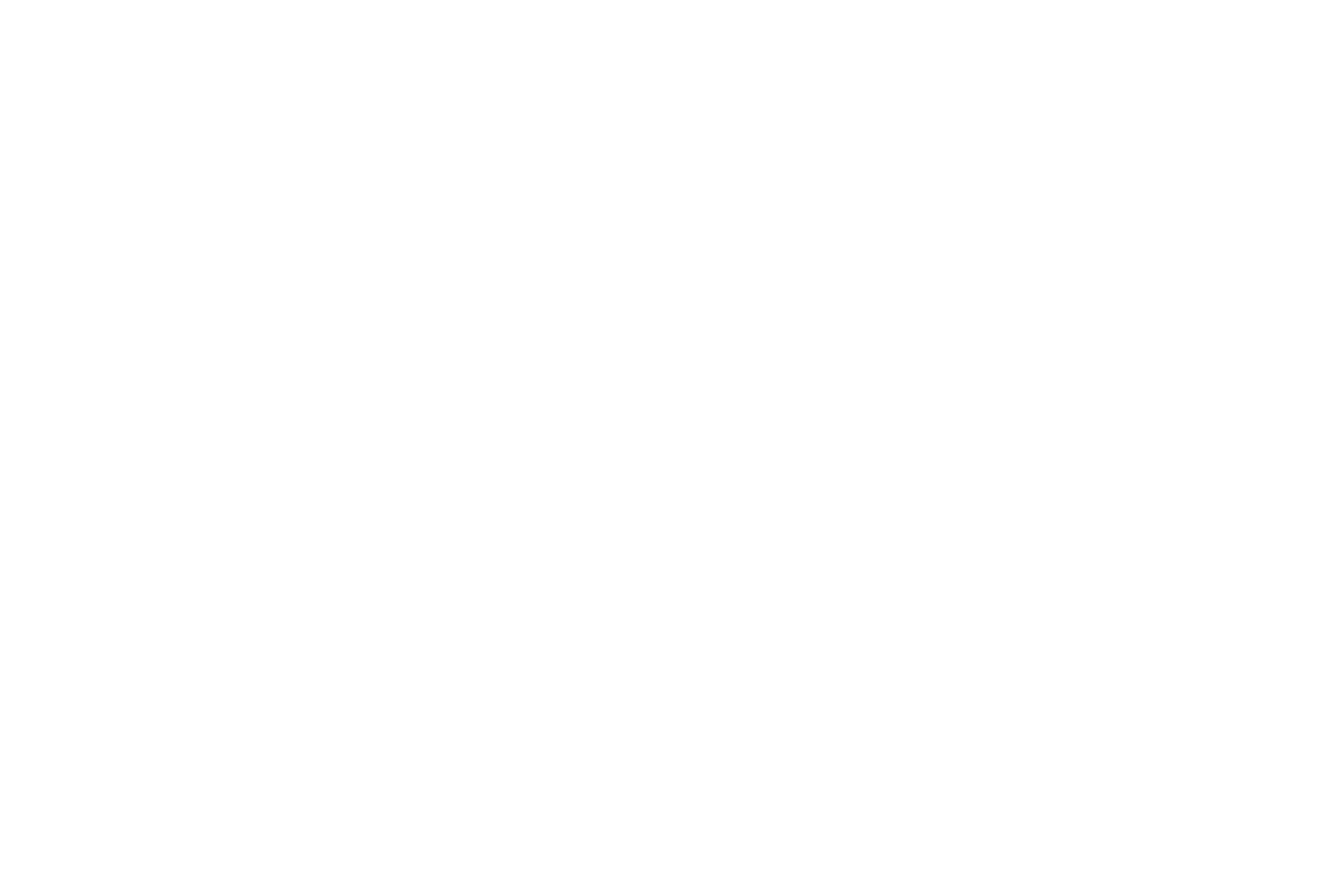 Laury Bride + Living logo